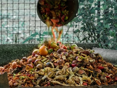 welcome to amrtava waste heap2